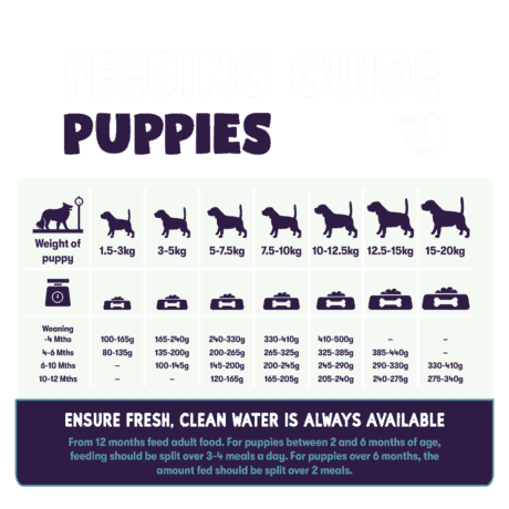 Burgess Sensitive Puppy Food with Turkey & Rice