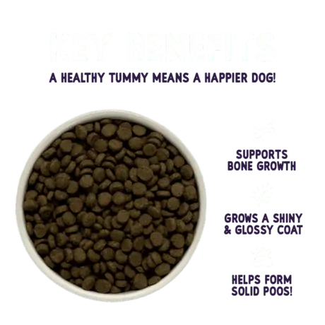 Burgess Sensitive Puppy Food with Turkey & Rice