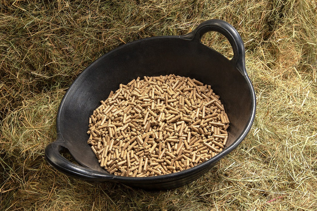 Pegasus Value Horse & Pony Cubes