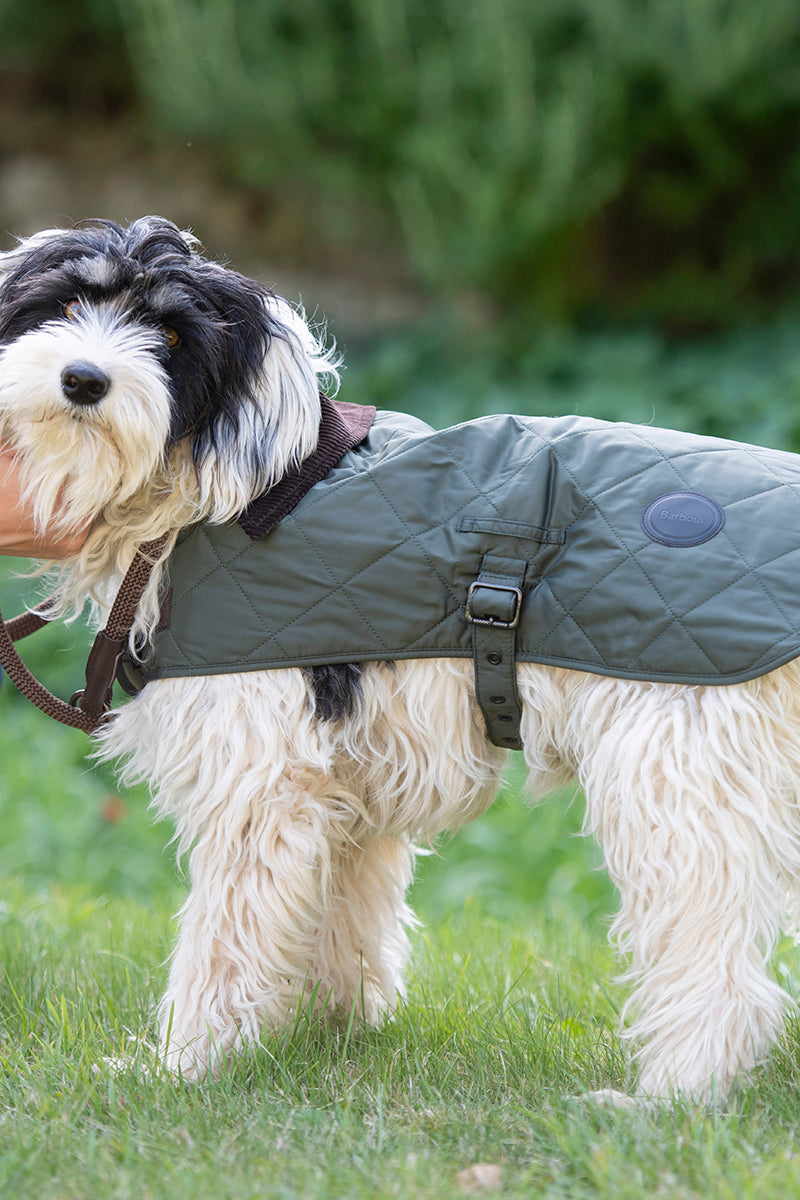 Dog barbour jacket online