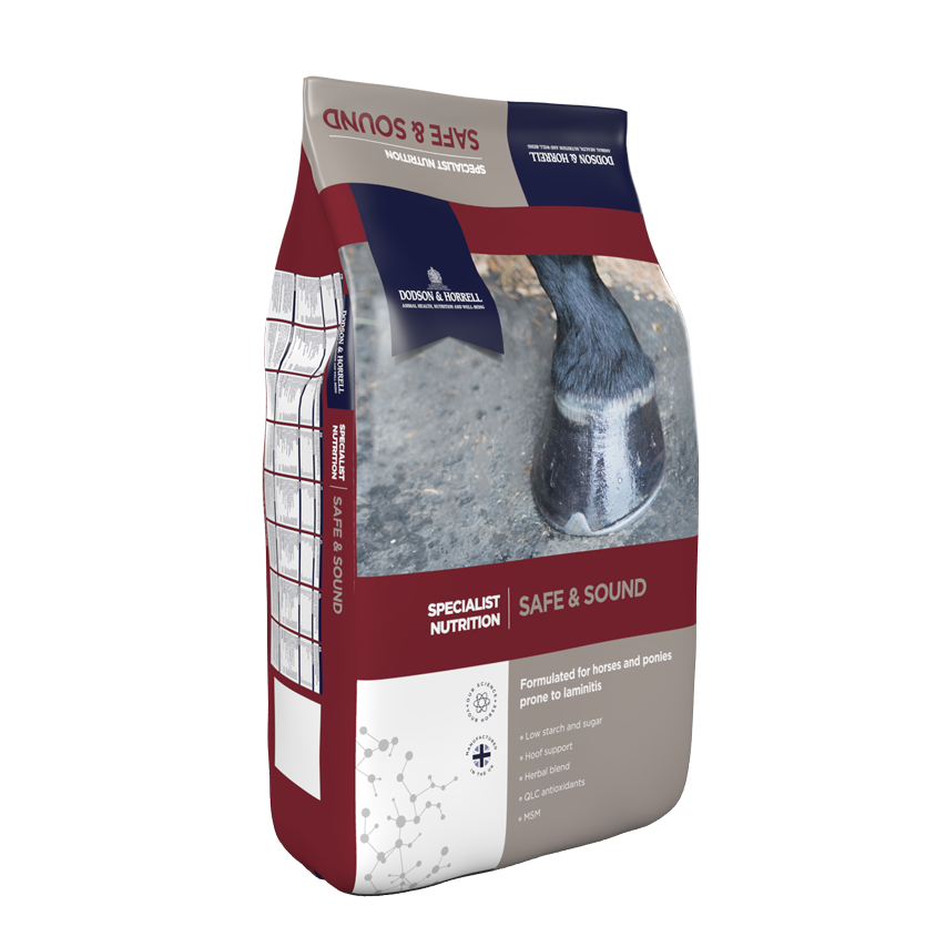 Dodson & Horrell Safe & Sound