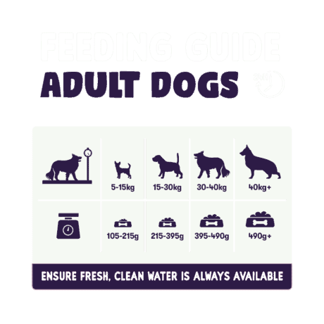 Burgess Sensitive Dog Food with Salmon & Rice