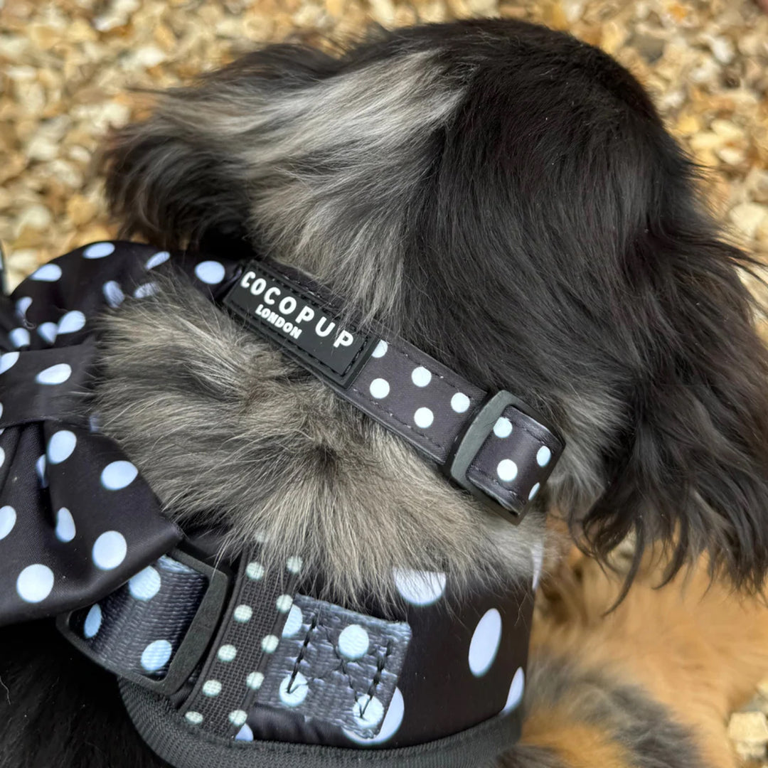 Cocopup Dog Satin Polka Dot Collar