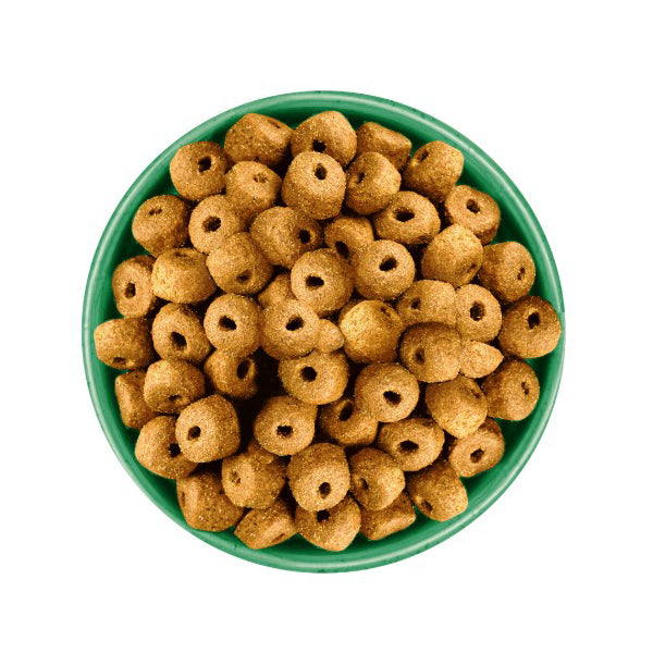 James Wellbeloved Adult Large Breed Turkey & Rice Dry Dog Food