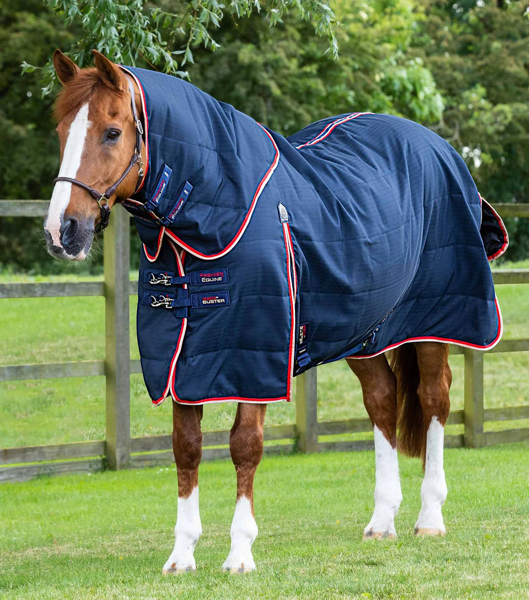 The Premier Equine Stable Buster 100g Combo in Navy#Navy