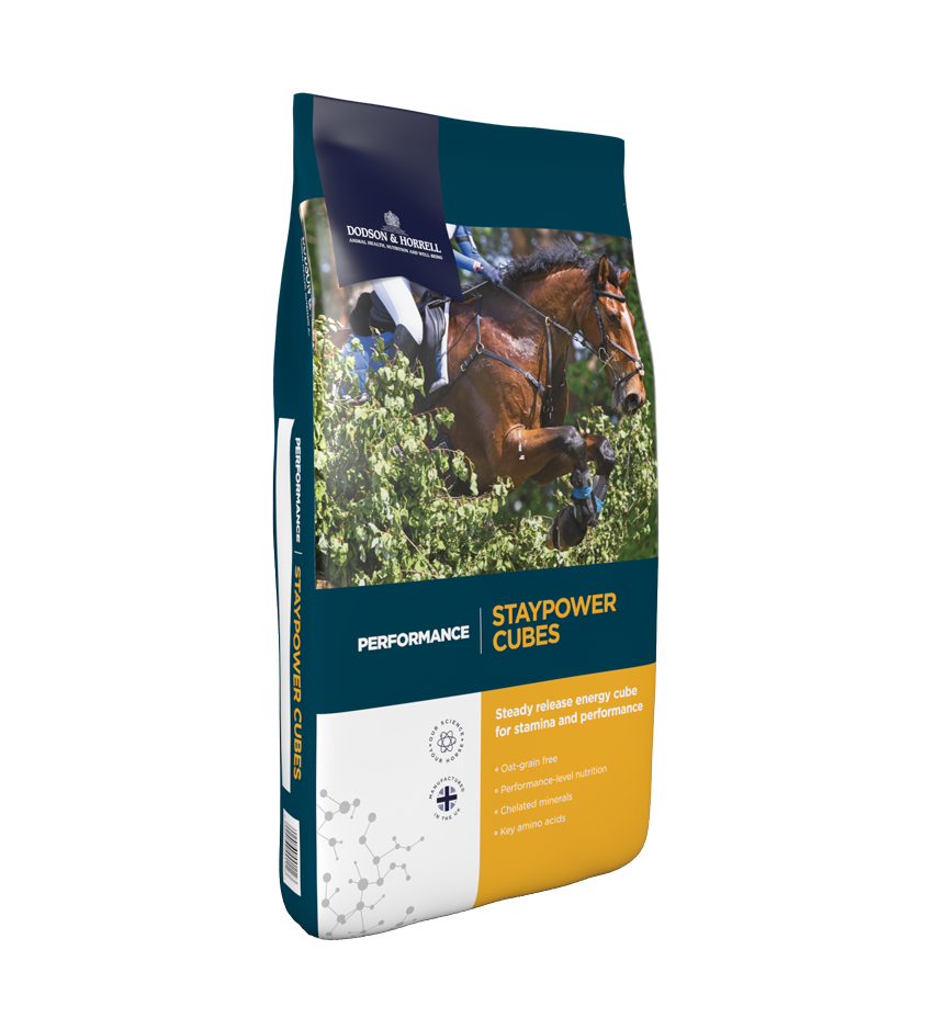 Dodson & Horrell Staypower Cubes