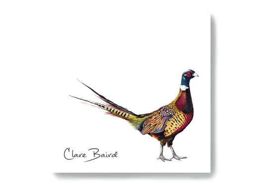 Clare Baird Pheasant Sticky Notes