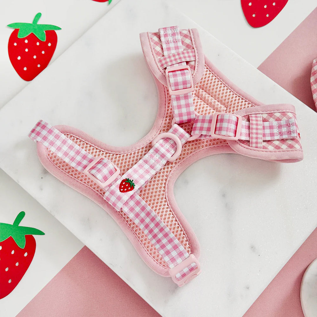 Cocopup Dog Strawberry Picnic Pup Harness