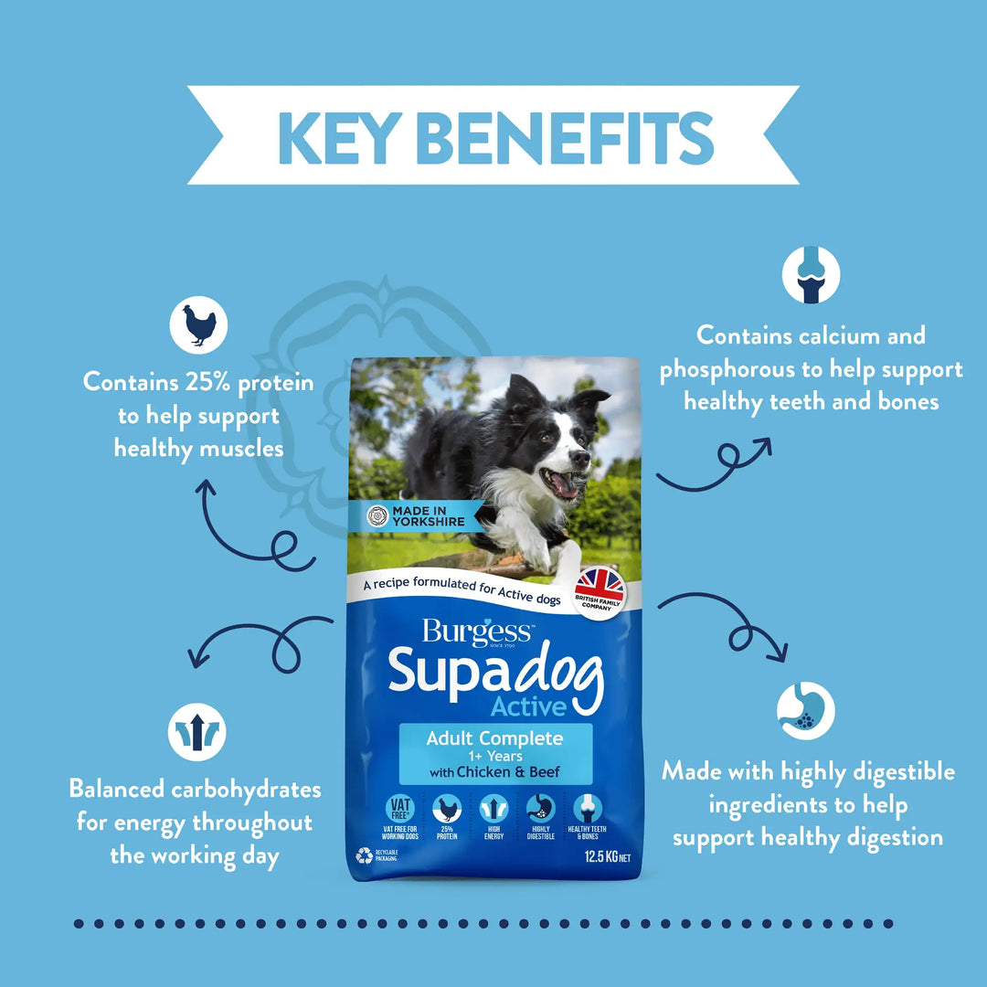 Burgess Supadog Active Dog