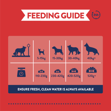 Supadog Adult Dog Food with Beef PMP