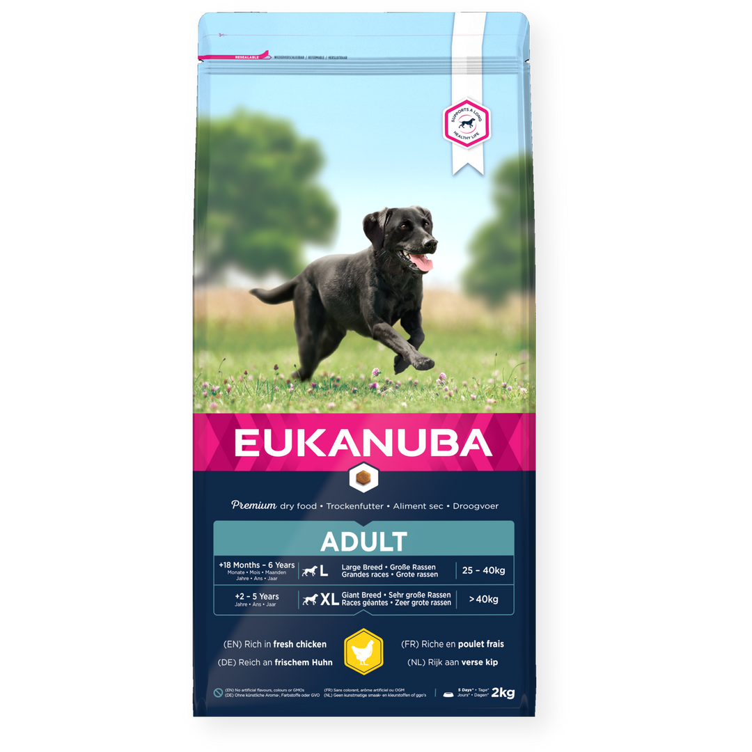 Eukanuba Adult Large Breed Dog Food with Chicken