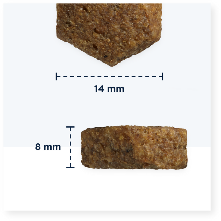 Eukanuba Adult Small/Medium Breed Dog Food with Lamb & Rice