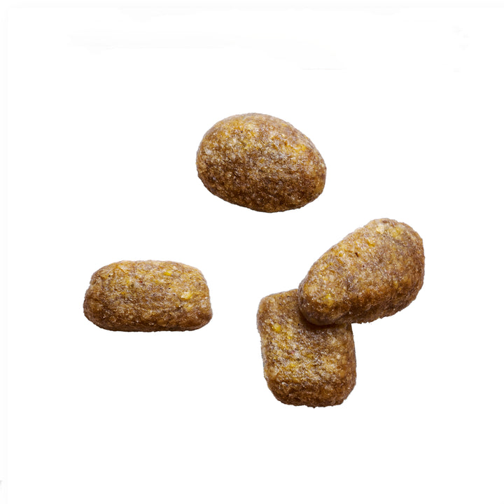 Iams Adult Light with Chicken