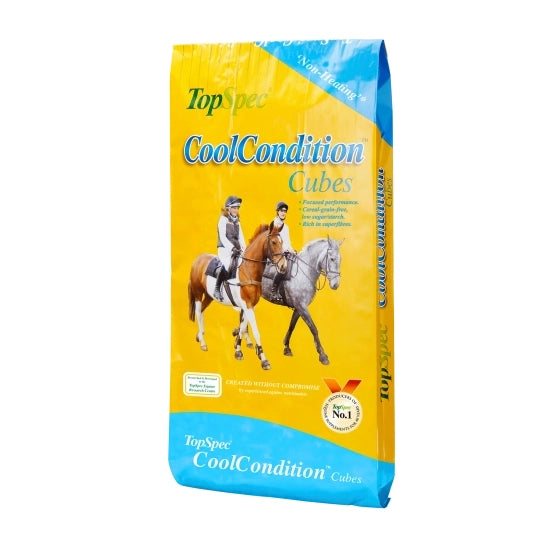 TopSpec CoolCondition Cubes