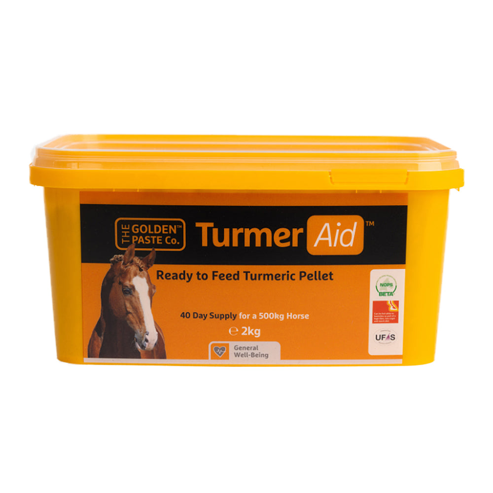 The Golden Paste Company TurmerAid