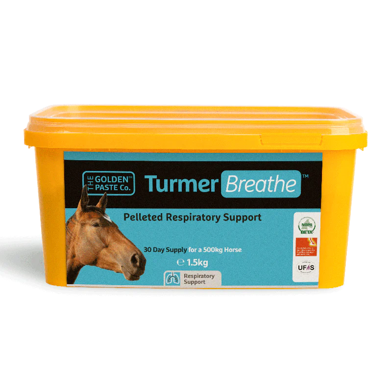 The Golden Paste Company TurmerBreathe