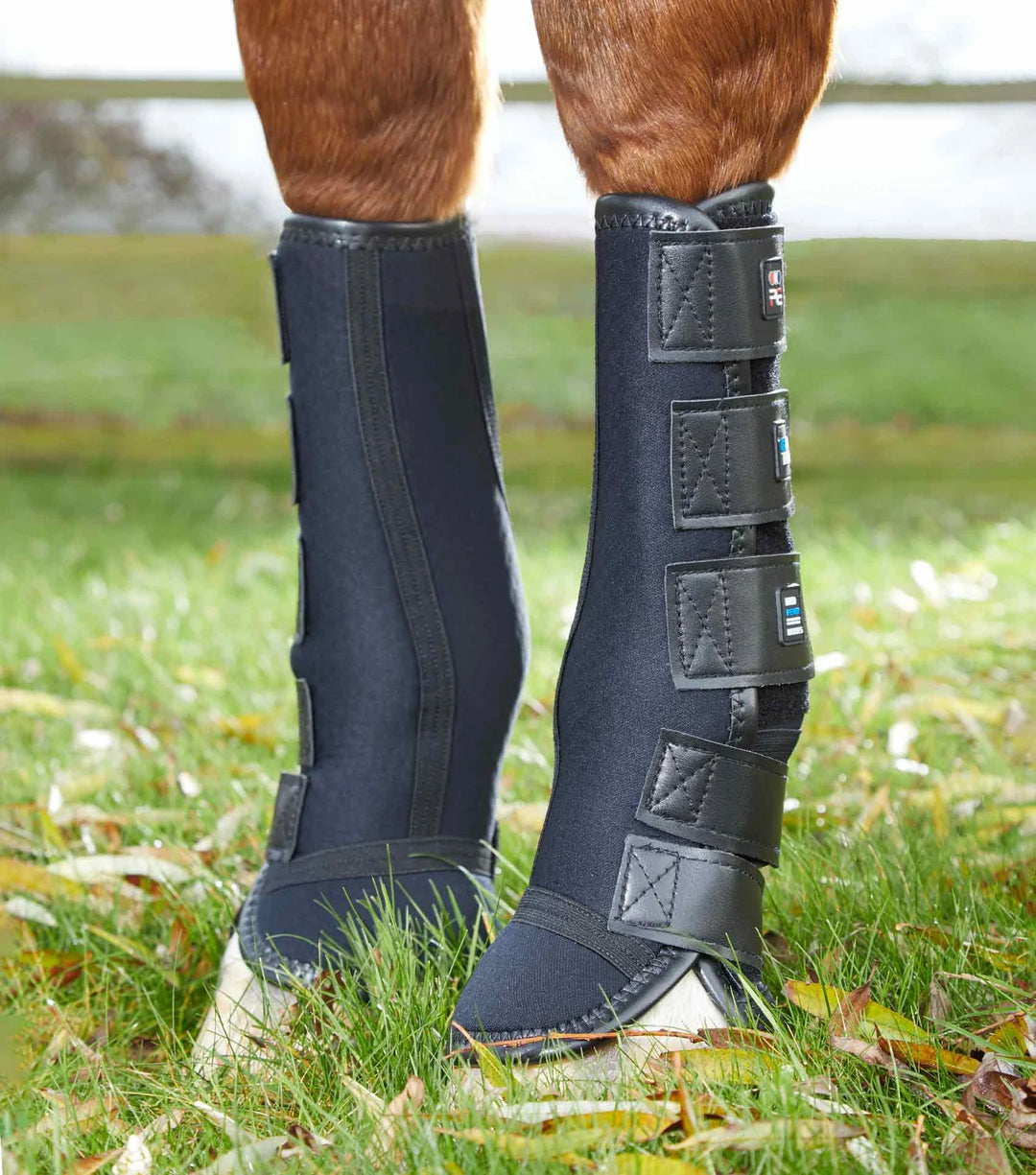 The Premier Equine Mud Fever Turnout Boots in Black#Black