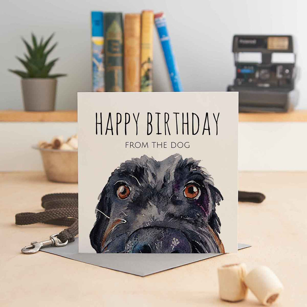 Jo Scott Happy Birthday From The Dog - Black Card