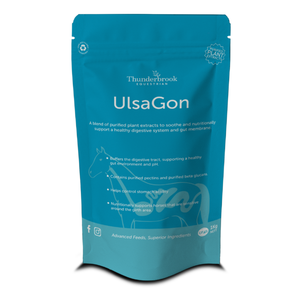 Thunderbrook Ulsagon