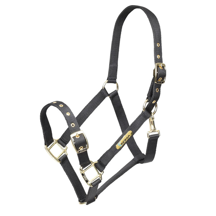 Shires ARMA Adjustable Headcollar#Black