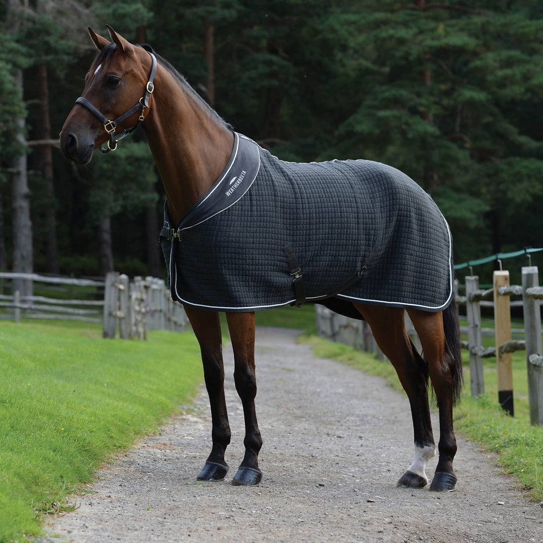 The Weatherbeeta Thermocell Cooler Standard Neck in Dark Grey#Dark Grey