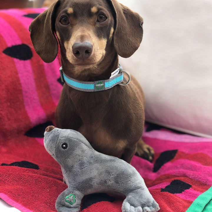 Ancol Mini Made From Turtle/Seal/Seahorse Dog Toy