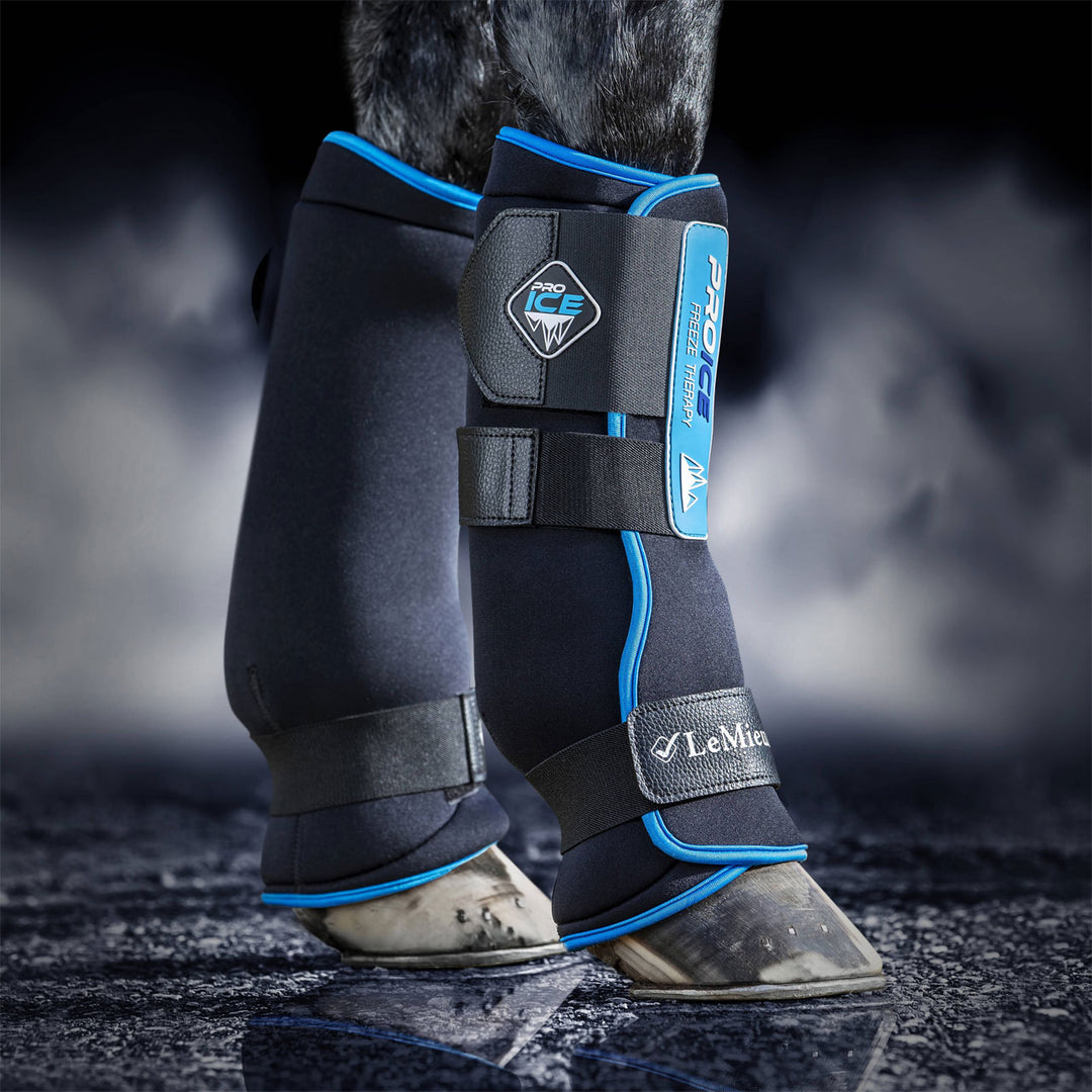 LeMieux ProIce Freeze Boots
