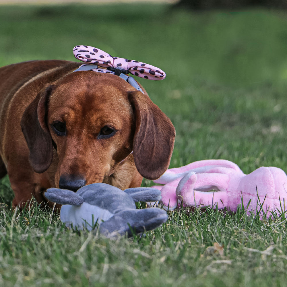 Ancol Mini Made From Shark/Whale/Octopus Dog Toy