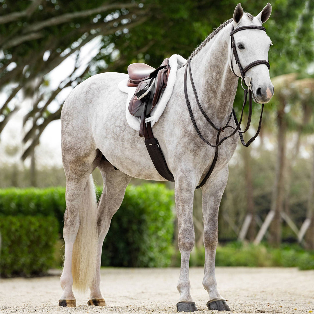 LeMieux Merino+ ProSorb Hunter Saddle Pad