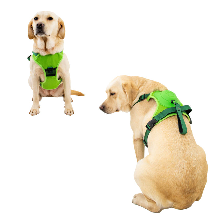Ancol Extreme Hybrid Dog Harness