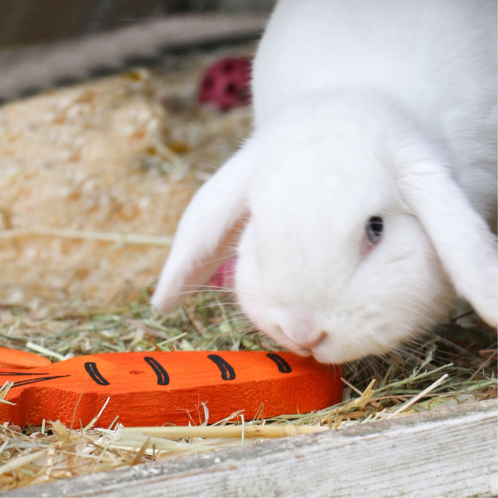 Ancol Carrot Cruncher Gnaw