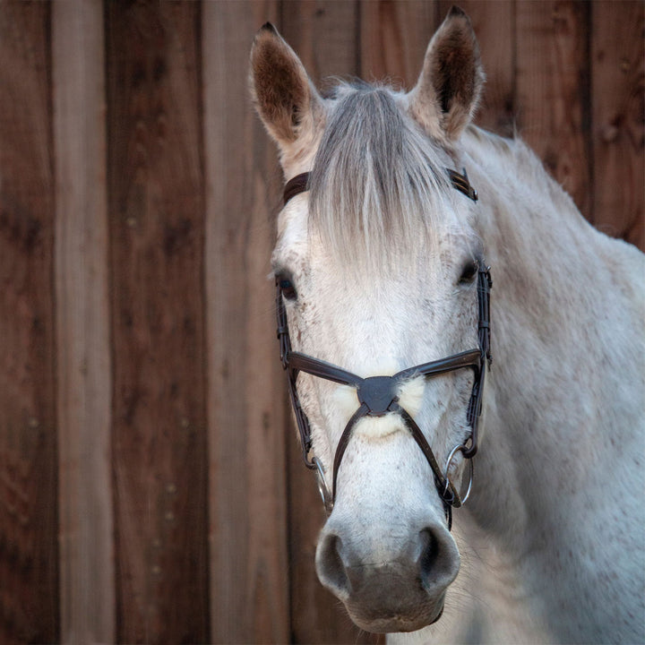 Henry James Saddlery Sheepskin Grackle Bridle