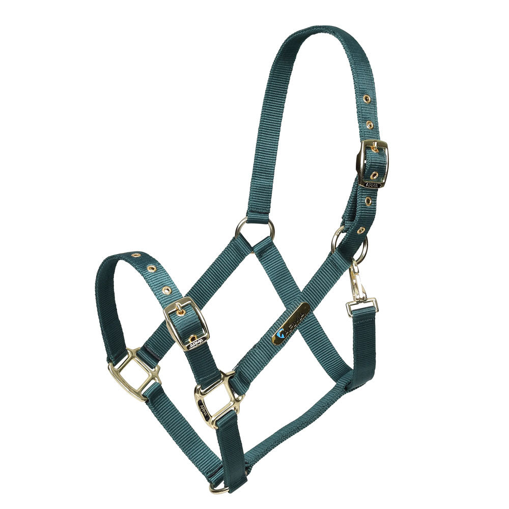 Shires ARMA Adjustable Headcollar#Green