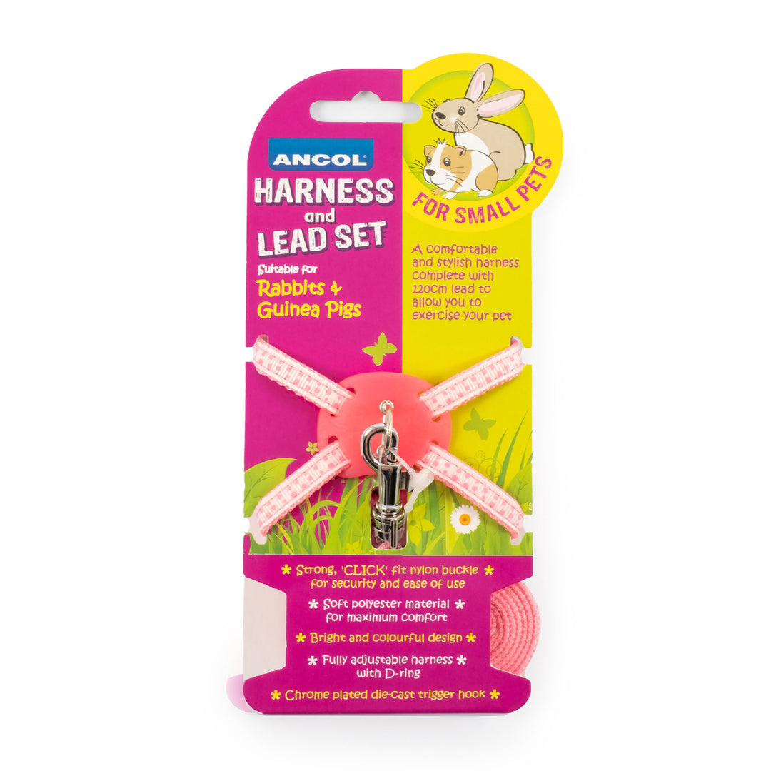 Ancol Small Pet Harness & Lead Pink