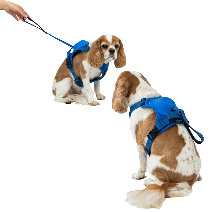 Ancol Extreme Hybrid Dog Harness