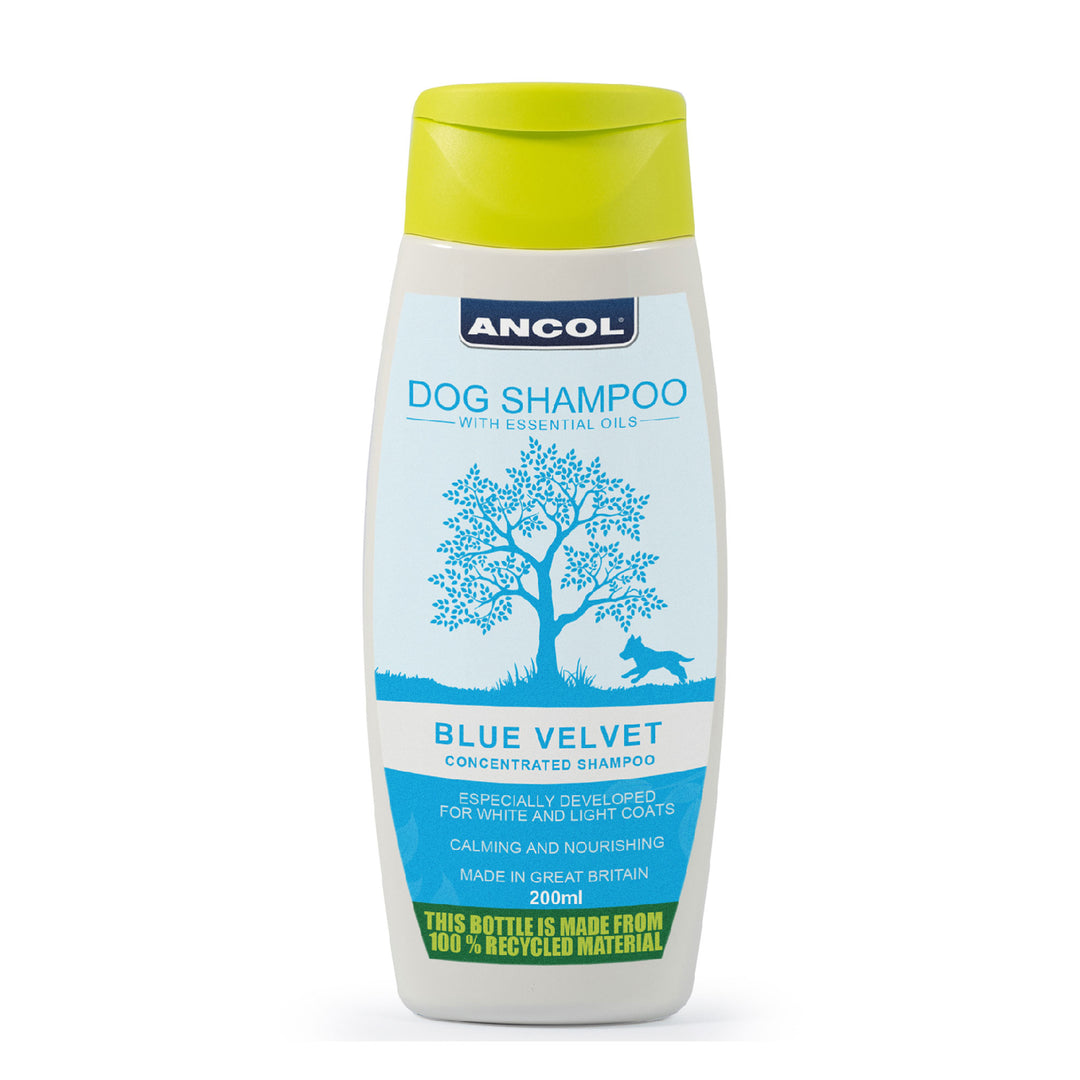 Ancol Blue Velvet Dog Shampoo 200ml