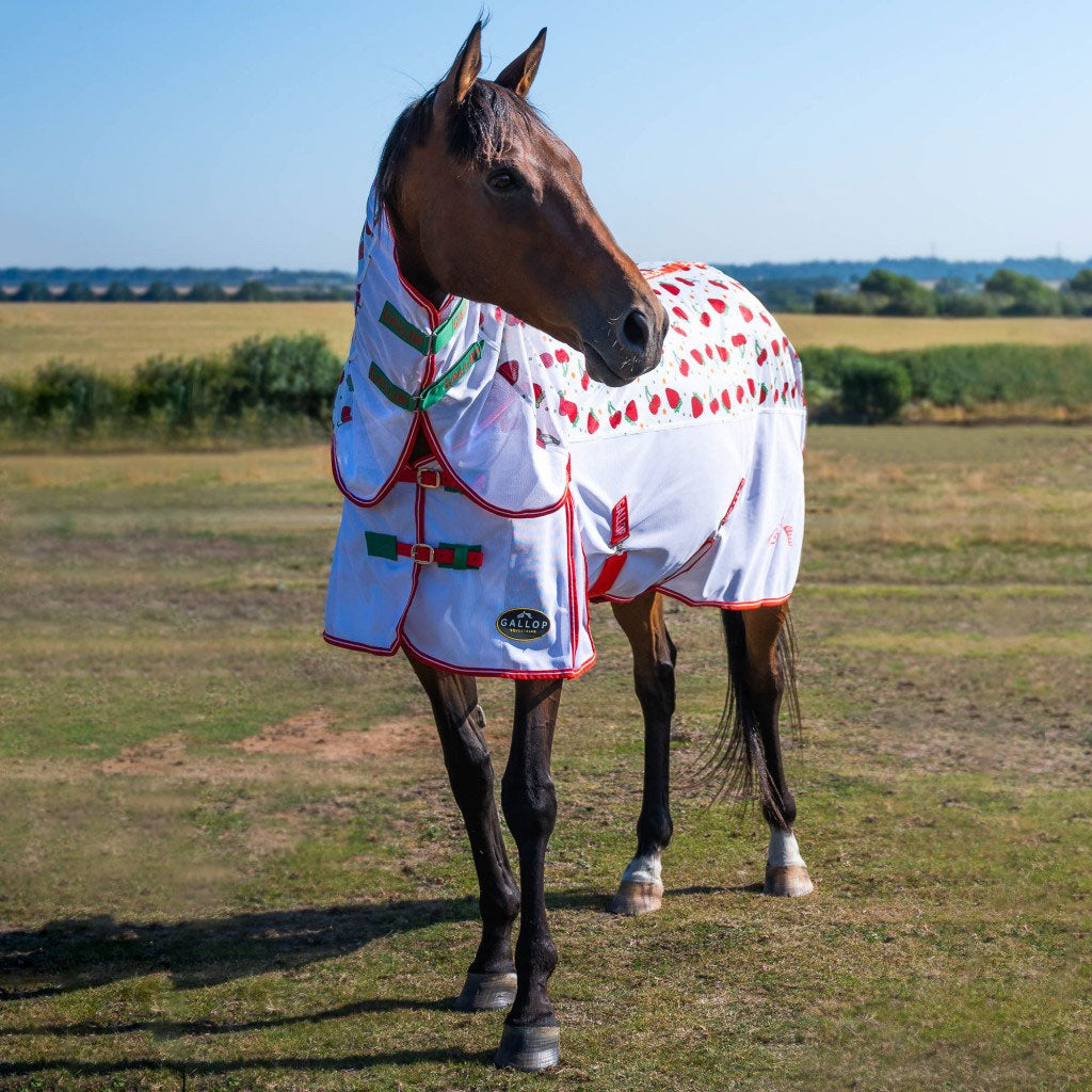 Gallop Berries & Cherries Combo Fly Rug