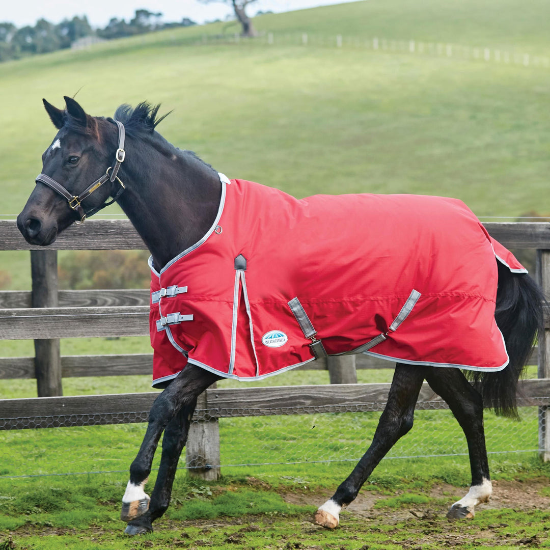 The Weatherbeeta Comfitec Classic Standard Medium/Lite Turnout in Red#Red