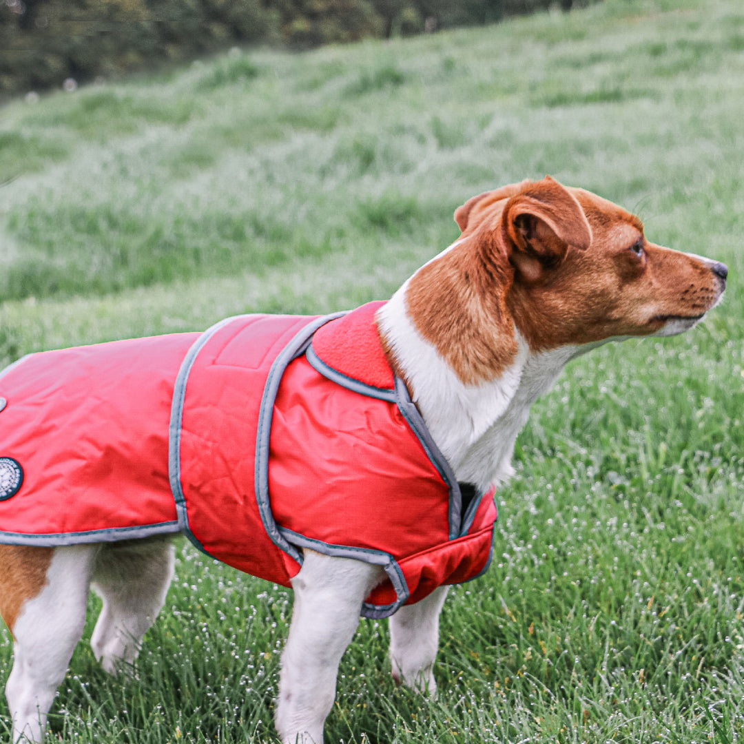 The Ancol Stormguard Dog Coat in Red#Red