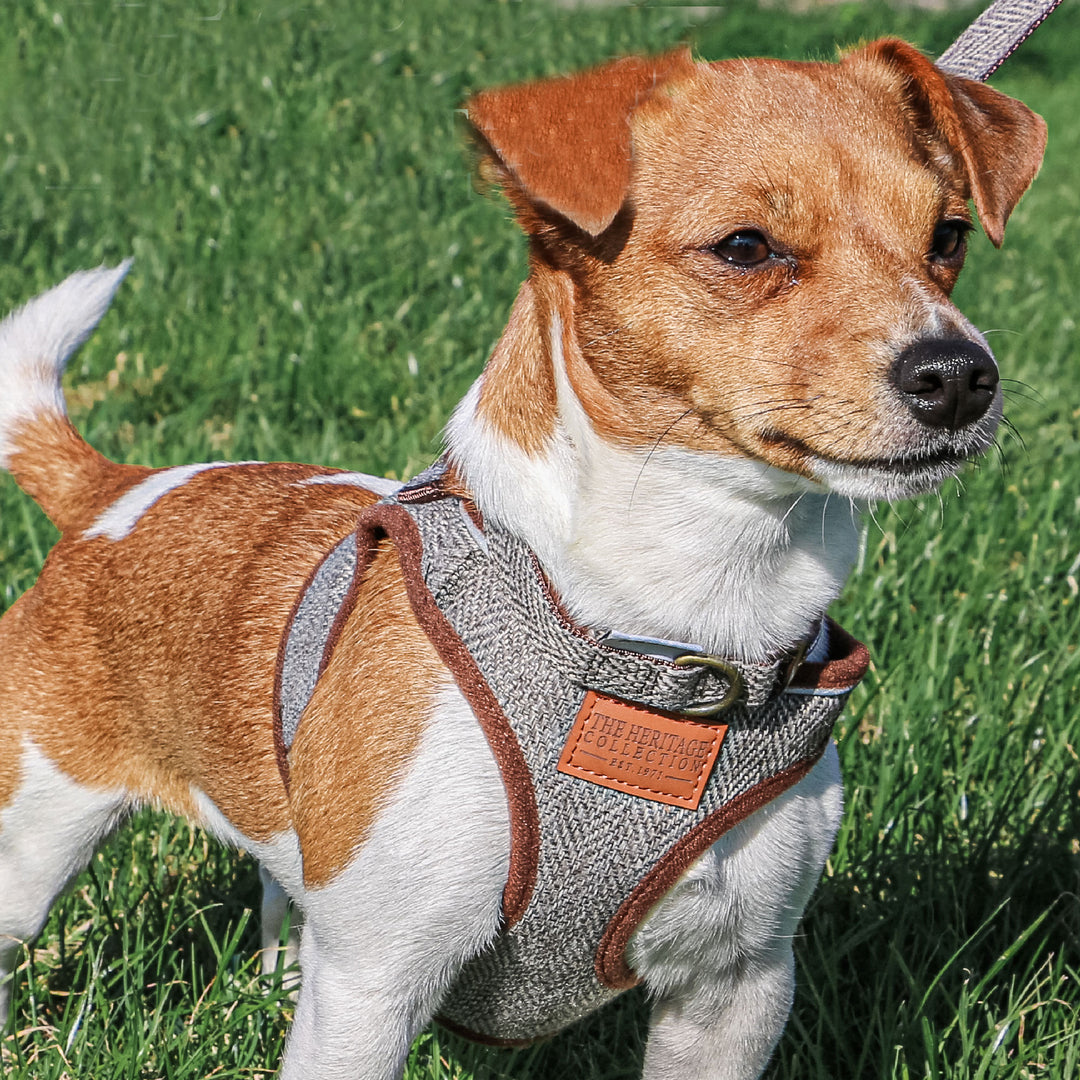 The Ancol Heritage Step In Harness in Check#Check