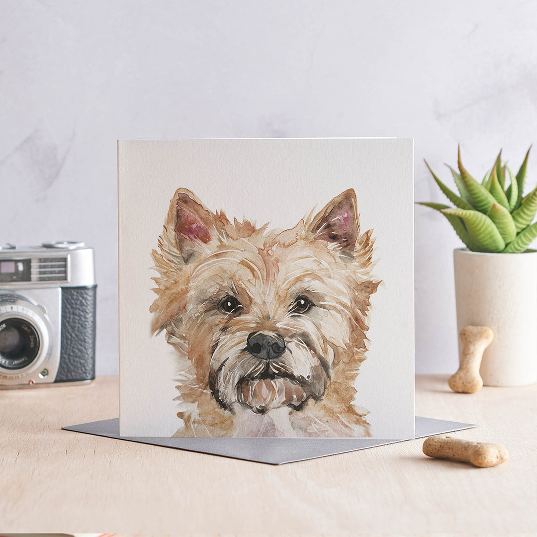 Jo Scott Ted Cairn Card