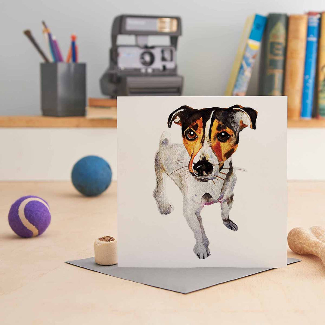 Jo Scott Jack Russel Terrier Card