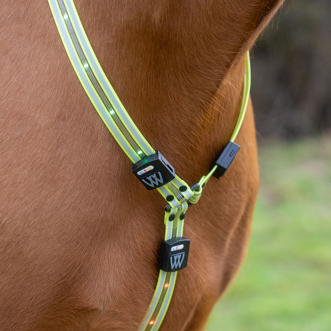 Woof Wear LED Neck Band