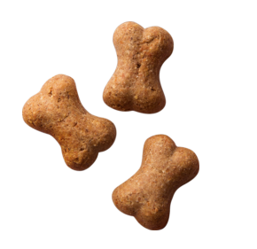 Wagg Training Dog Treat Mini Bones