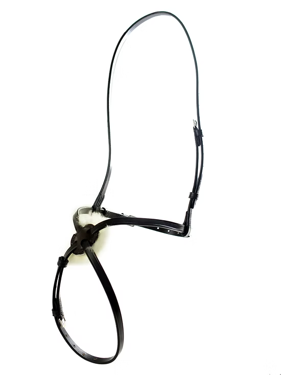 Dever Grackle Plain Noseband