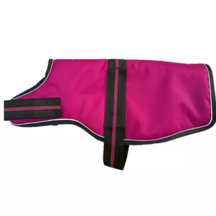 Animate Dachshund Padded Dog Coat