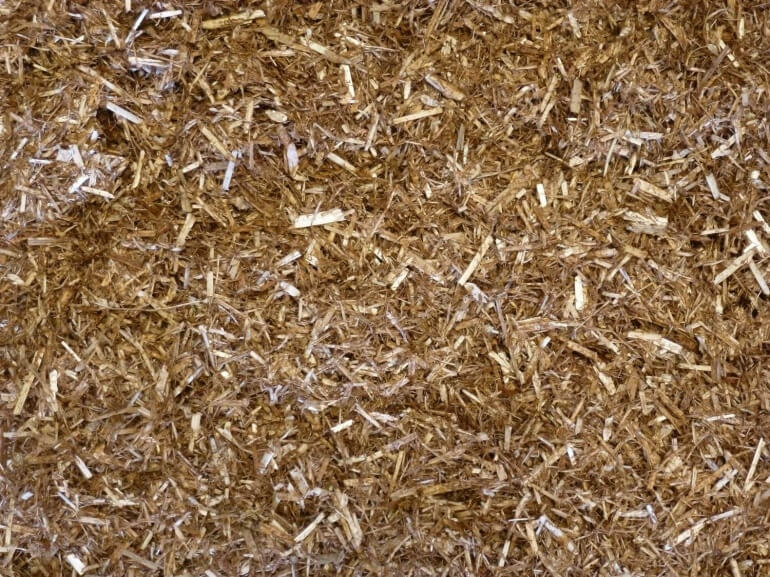 Mollichaff Extra