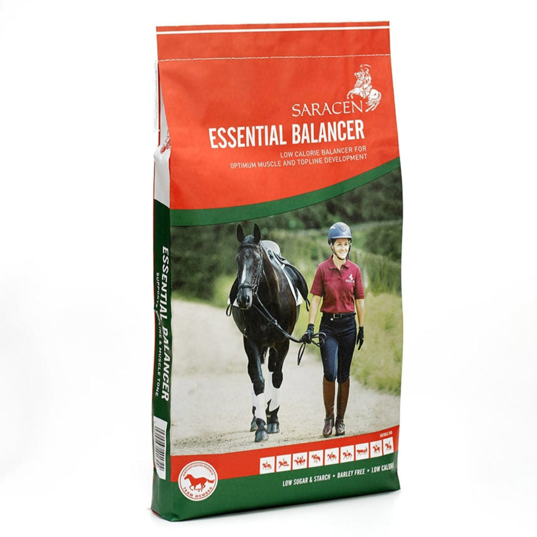 Saracen Essential Balancer