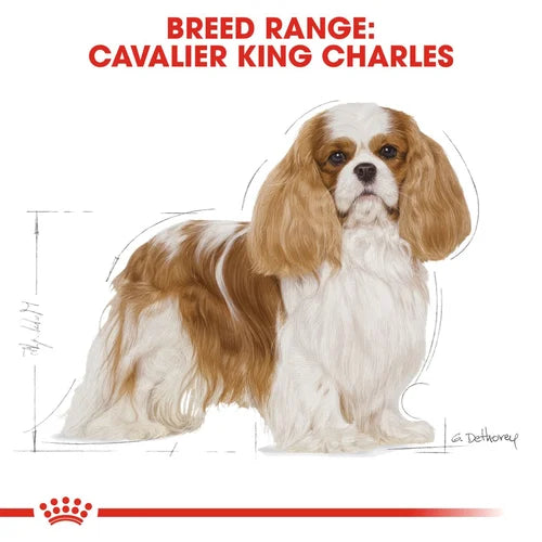 Royal Canin Cavalier King Charles Adult Dog Dry Food