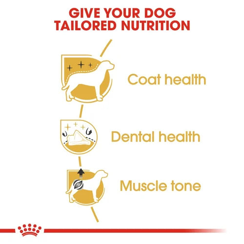 Royal Canin Poodle Adult/Mature Dog Dry Food